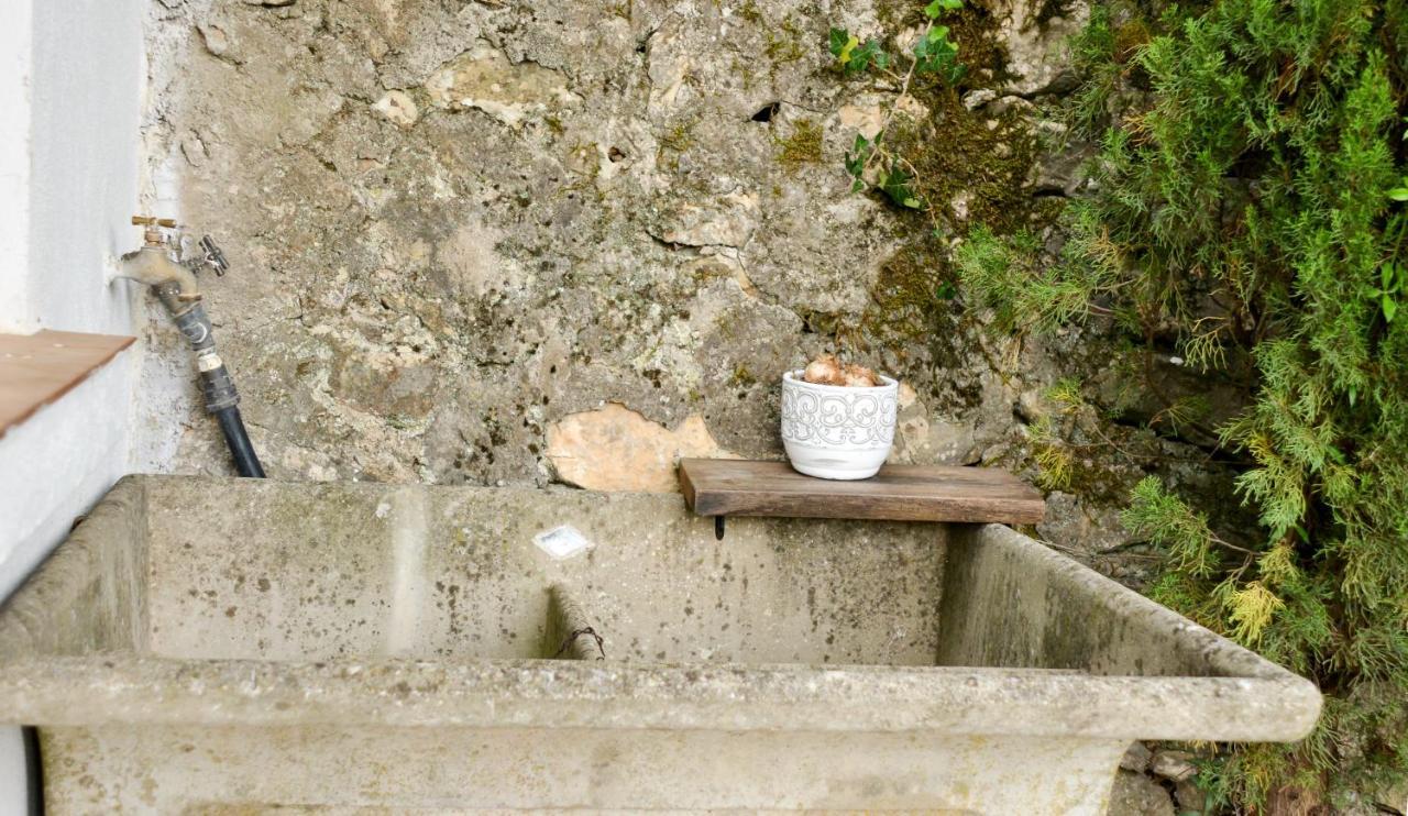 La Marroniere Villa Brignoles Bagian luar foto